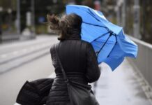 Ветер повалил деревья и светофор: к Одессе приближается мощный циклон (обновлено)