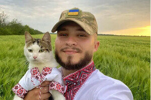 В Одесской области пропал боевой котик "Шайба" В Одесской области пропал боевой котик "Шайба"