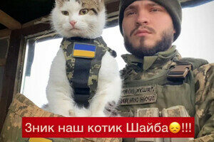 В Одесской области пропал боевой котик "Шайба" В Одесской области пропал боевой котик "Шайба"