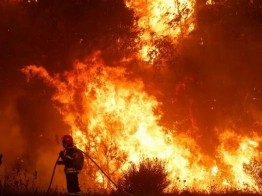 Україна запропонувала Португалії допомогу: про що йдеться