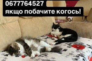Ночная атака БпЛА: беспилотник уничтожил дом директора Одесского зоопарка (обновлено) Ночная атака БпЛА: беспилотник уничтожил дом директора Одесского зоопарка (обновлено)