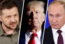 Трамп все більше розчарований Зеленським та путіним, — Білий дім