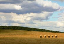 Літо відступає: спека спадає, в Україну йдуть дощі