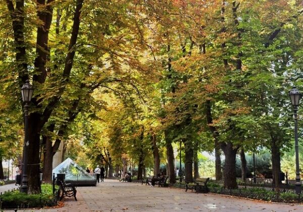 Уже прохладно: какая погода будет в Одессе в эти выходные Уже прохладно: какая погода будет в Одессе в эти выходные
