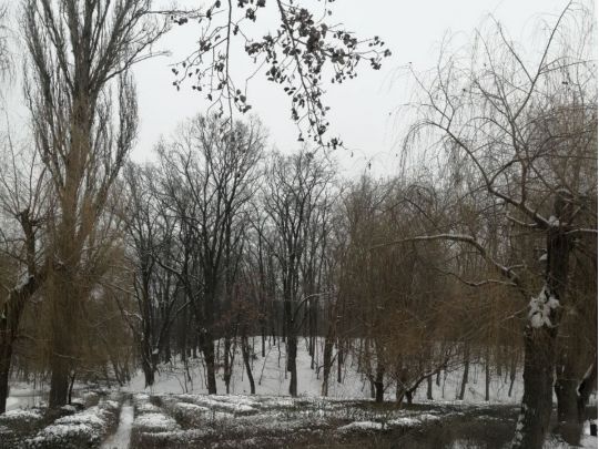 Погода у&nbsp;лютому здивує: синоптик розповів, чого чекати українцям
